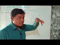 Electrical Capacitance 