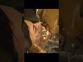 Mileena's Demise | #mortalkombatx #mileena #mortalkombat #mkx #gamingclips #xbox #xboxseriess