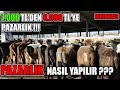 KIRIKKALEDE PAZARLIKLAR SİZİ ŞAŞIRTACAK !!! | Ben böyle bir şey GÖRMEDİM !!!