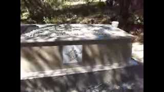 Terzi̇ Ömer Asarka