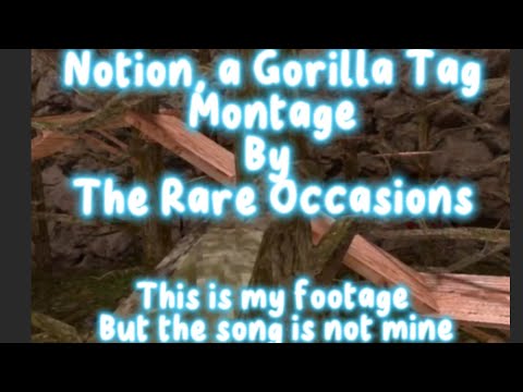 Notion A Gorilla Tag Montage