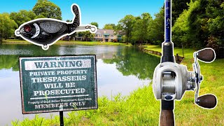 BIG Bass Love MINI WHOPPER PLOPPERS!!! | Whopper Plopper Bass Fishing BLOWUPS!