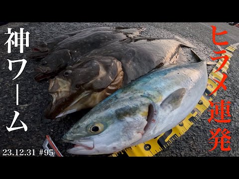 ヒラメ釣りワーム】高実績ワームと最強カラー組み合わせ！鮃と青物が