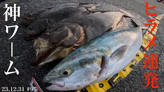 ワーム　まとめ売り　ヒラメ釣り mqdefault.jpg