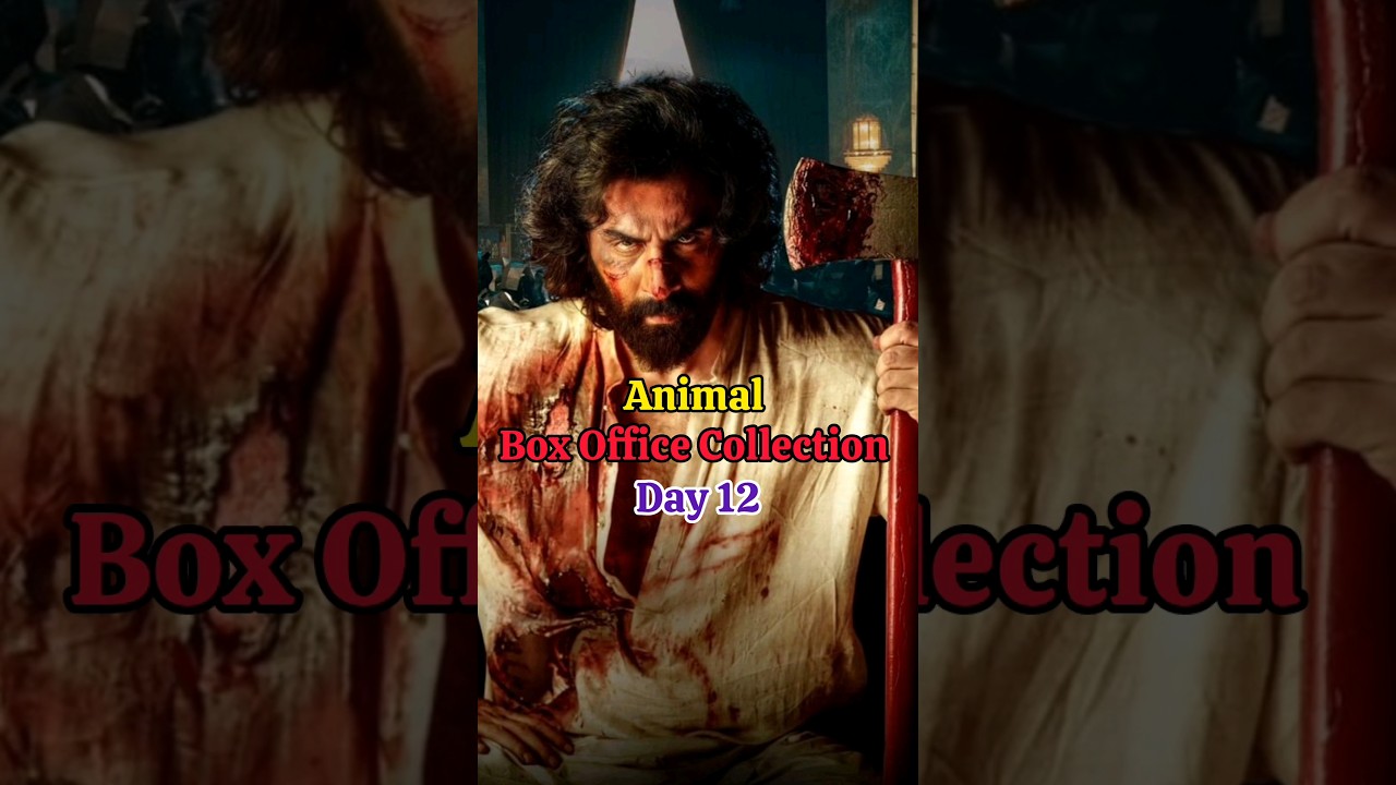 Animal Movie 12 Day Box Office Collection😳💸 