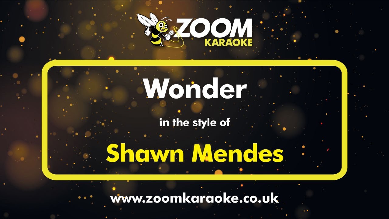 Shawn Mendes - Wonder - Karaoke Version from Zoom Karaoke