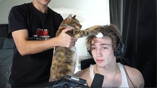 Getting Used To My Setup Again Vinnie Hacker Stream Summary 3 Jan 2022