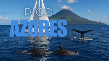 Sailing with Whales and Dolphins off Pico Island, Azores 🇵🇹 | Immersive Earth TV