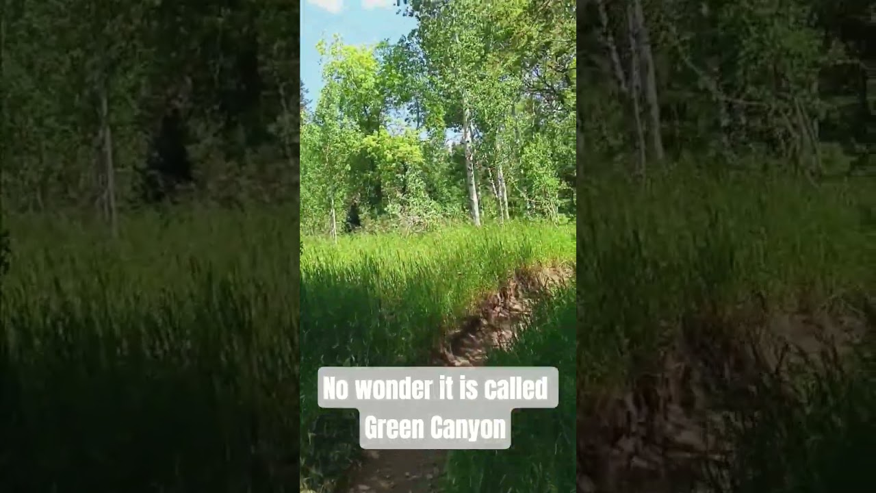 Upper Green Canyon in July 