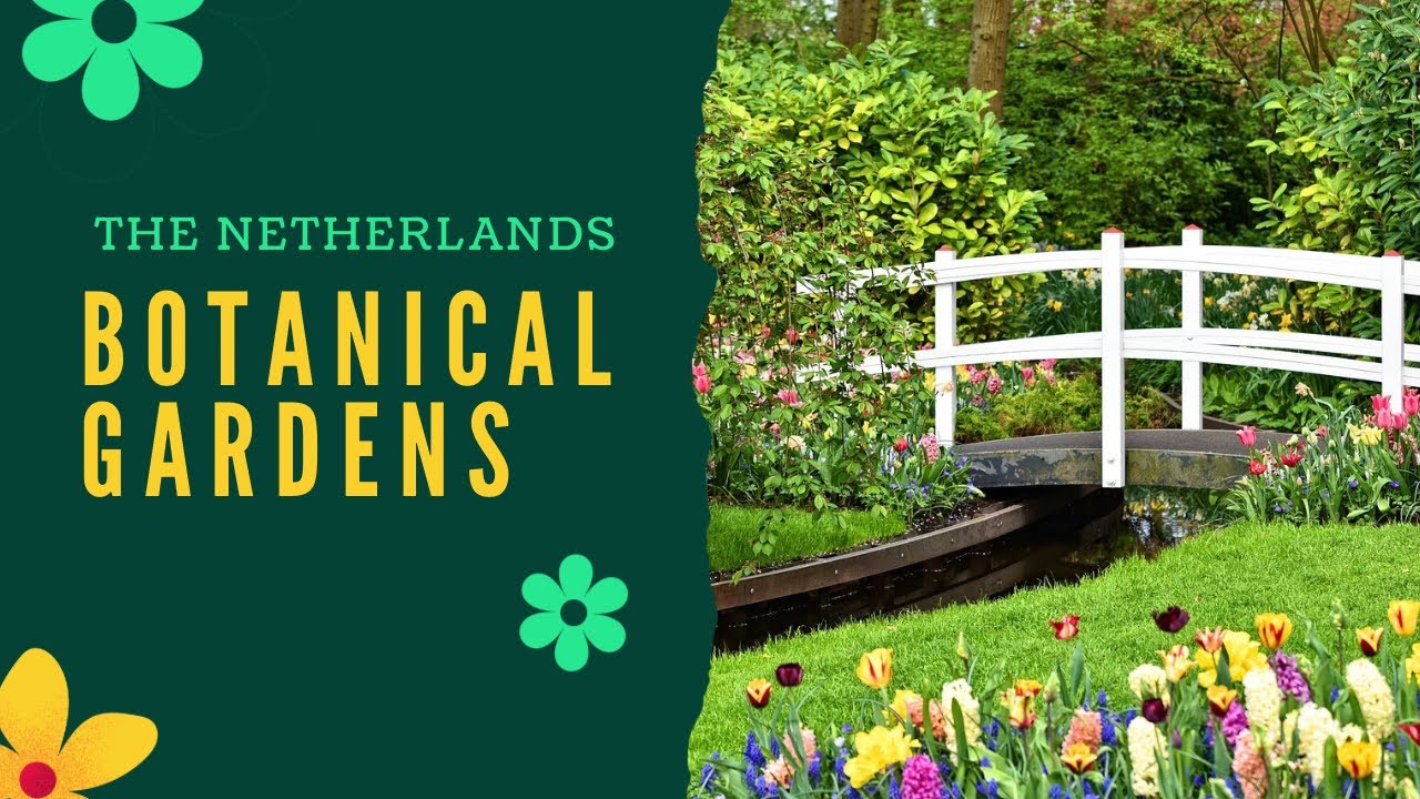 Exploring the Enchanting Botanical Gardens of the Netherlands