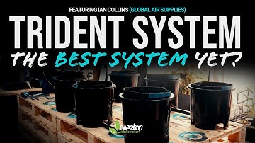 IWS Trident Pro Setup & Pro Tips (with Ian Collins from Global Air Supplies)