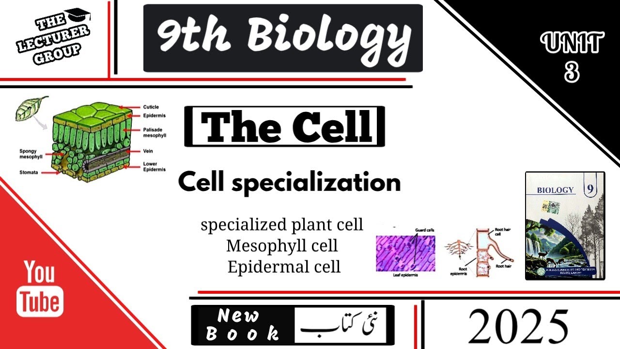Cell Specialization | 9th Class new Biology Chapter 3 - YouTube