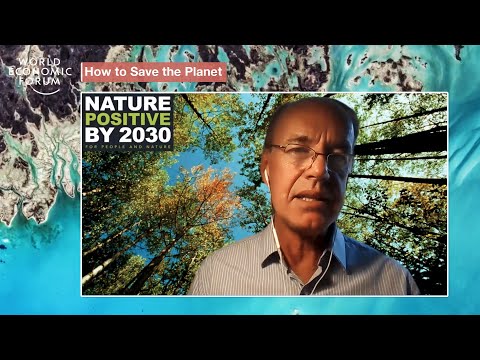 Video Nature Positive Land Transitions | Sustainable... - youtube