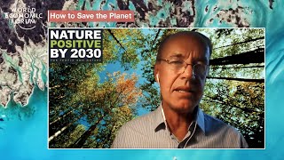 Nature Positive Land Transitions | Sustainable Development Impact Summit