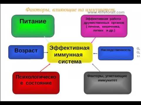 факторы влияющие на формирование иммунитета. факторы влияющие на формирование иммунитета. факторы влияющие на имму. иммунитет конспект. факторы снижающие иммунитет.