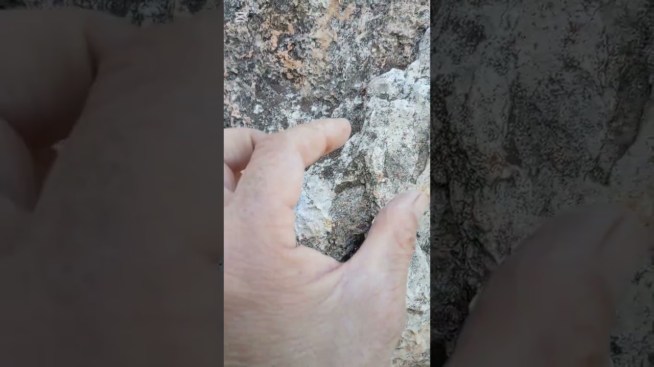 كرسي ملكي 👑 