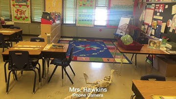 Rogue Rodent Mystery Crime Scene Video