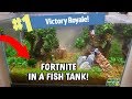 FORTNITE IN A FISH TANK! BATTLE ROYALE AQUARIUM BUILD FORTNITE IN A FISH TANK! BATTLE ROYALE AQUARIUM BUILD