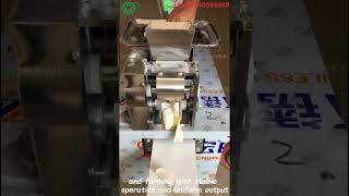 Industrial Dumpling Machine for Customized Shapes Sizes and High Application Versatility