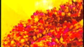 Una Produccion Pn.pan.s.a. - El Trece 2011