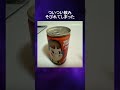 賞味期限切れまくりのものたち!これを口にする勇気はあるか?