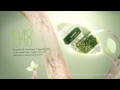 Nutrilite History: A Timeline of 80 Years of Growth | Amway
