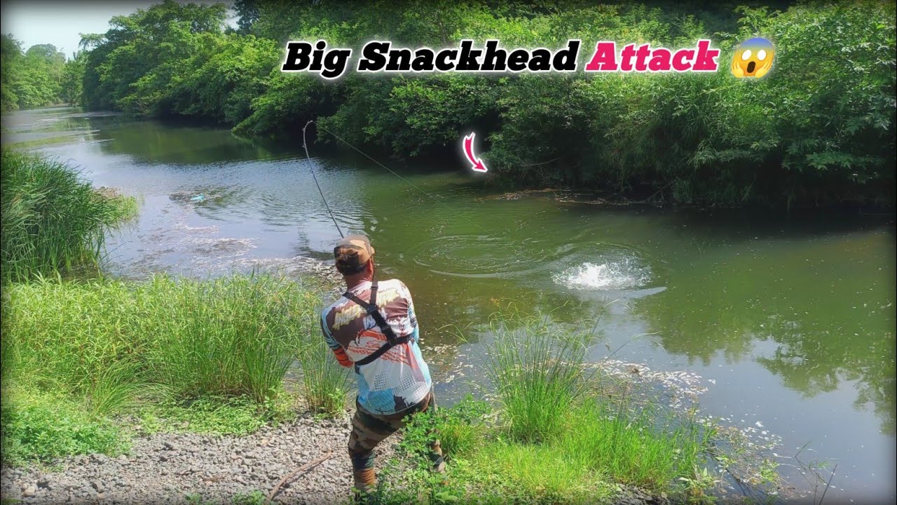Snackhead Fishing: HOW TO CATCH BIG SNACKS