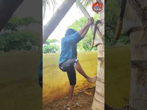 நா வீட்ல இப்படி தான் | | Madurai Muthu Alaparai