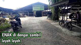 LANGGAM JAWA || Enak di dengar sambil leyeh2 BACGROUND POKTAN LESTARI GUNUNG INTAN KALTIM