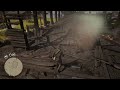 Rdr2 - Catherine Braitwaithe Brooch, Gold Bar