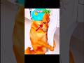 😂Other Dogs...LAST DOG 💀 #viral #funny #shorts #dog