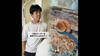#バイラル動画 #スキット #興味深い #意見 #面白い