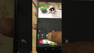 Add Music on Video Using Inshot App screenshot 2