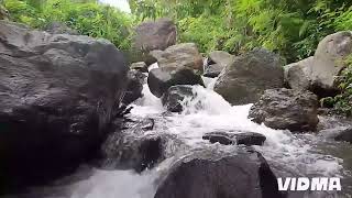 Download Lagu LAGU DAERAH ENDE LIO  || WETA MBANA BOPA LIMBA. || 2026 MP3