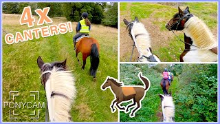Another Canter Hack on Roger! | GoPro