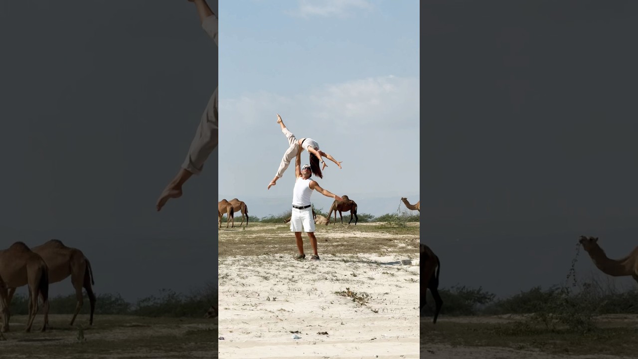 Happy new year 2025 🎄