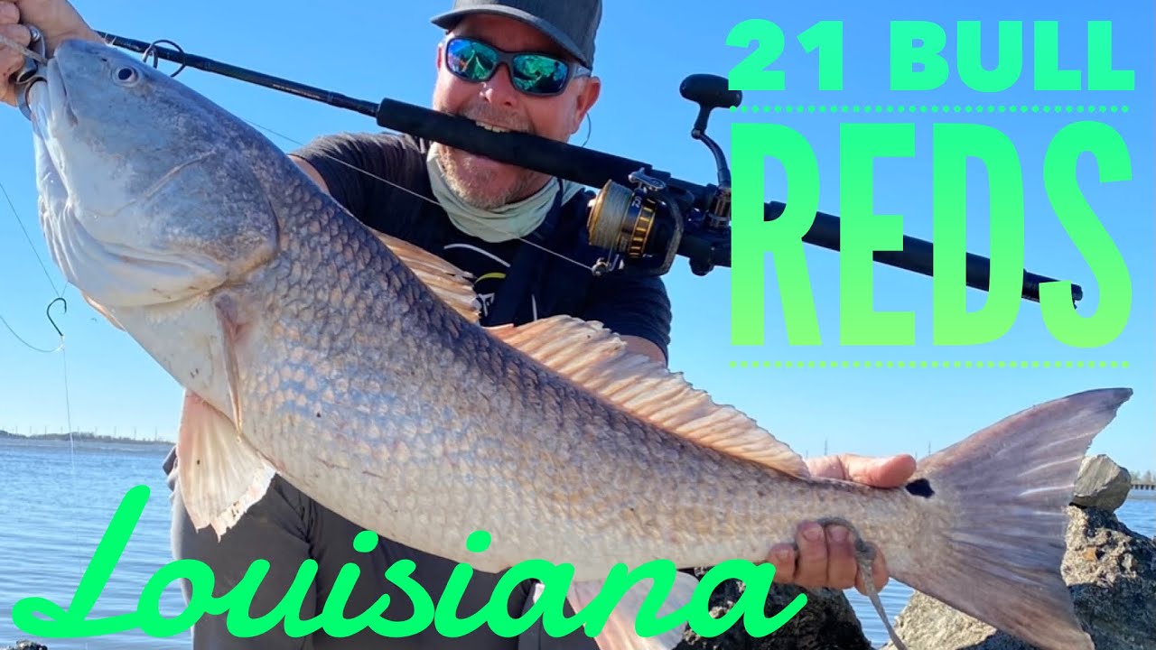 21 Bull reds and black drum in Cameron Parish Louisiana. - YouTube