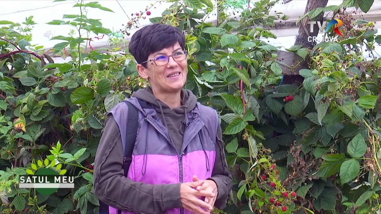 Satul meu  - 15.11.2025