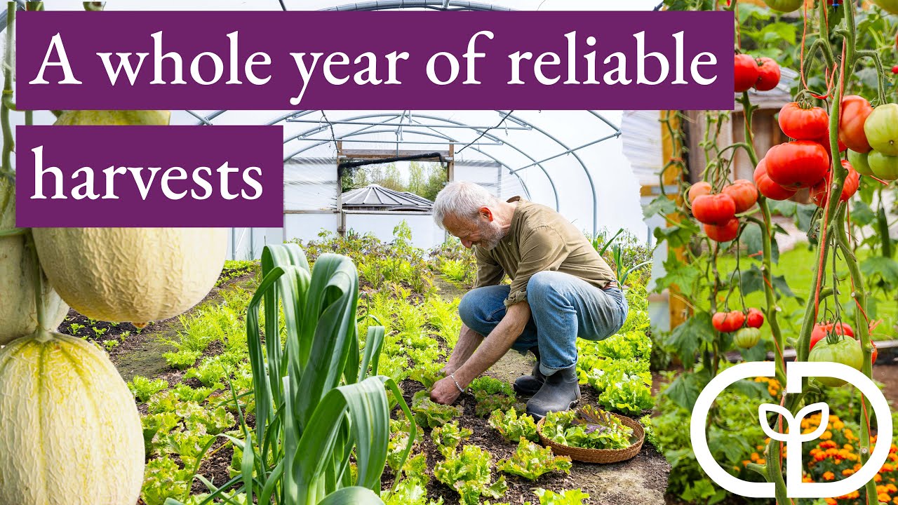 Polytunnel Options For Winter And Summer Vegetables YouTube polytunnel-options-for-winter-and-summer-vegetables-youtube