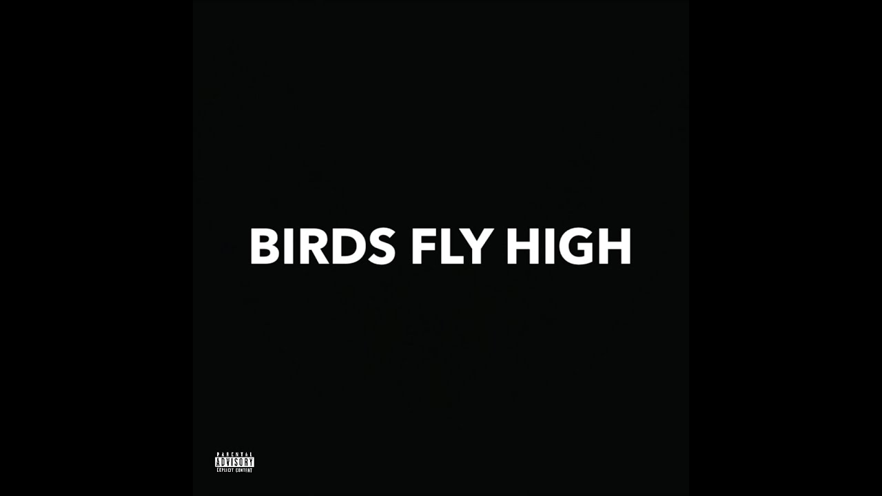 LIONAIRE – Birds Fly High Lyrics | Genius Lyrics