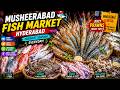 Hyderabad's Biggest Fish Market Musheerabad l Wide Variety of Sea Food Available l Whole Sale Retail