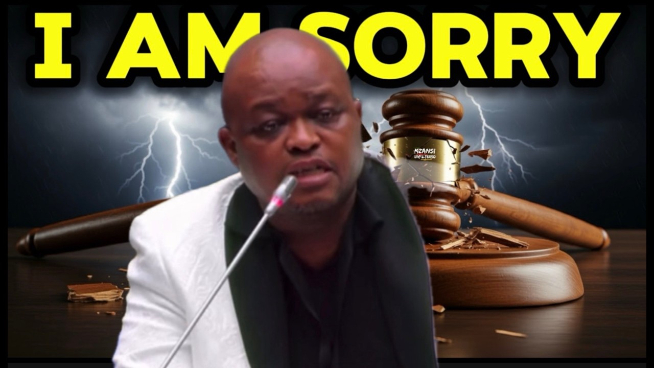 BROWN MOGOTSI FINALLY ENTERS THE AD HOC COMMITTEE BUT WHAT CHANGED?