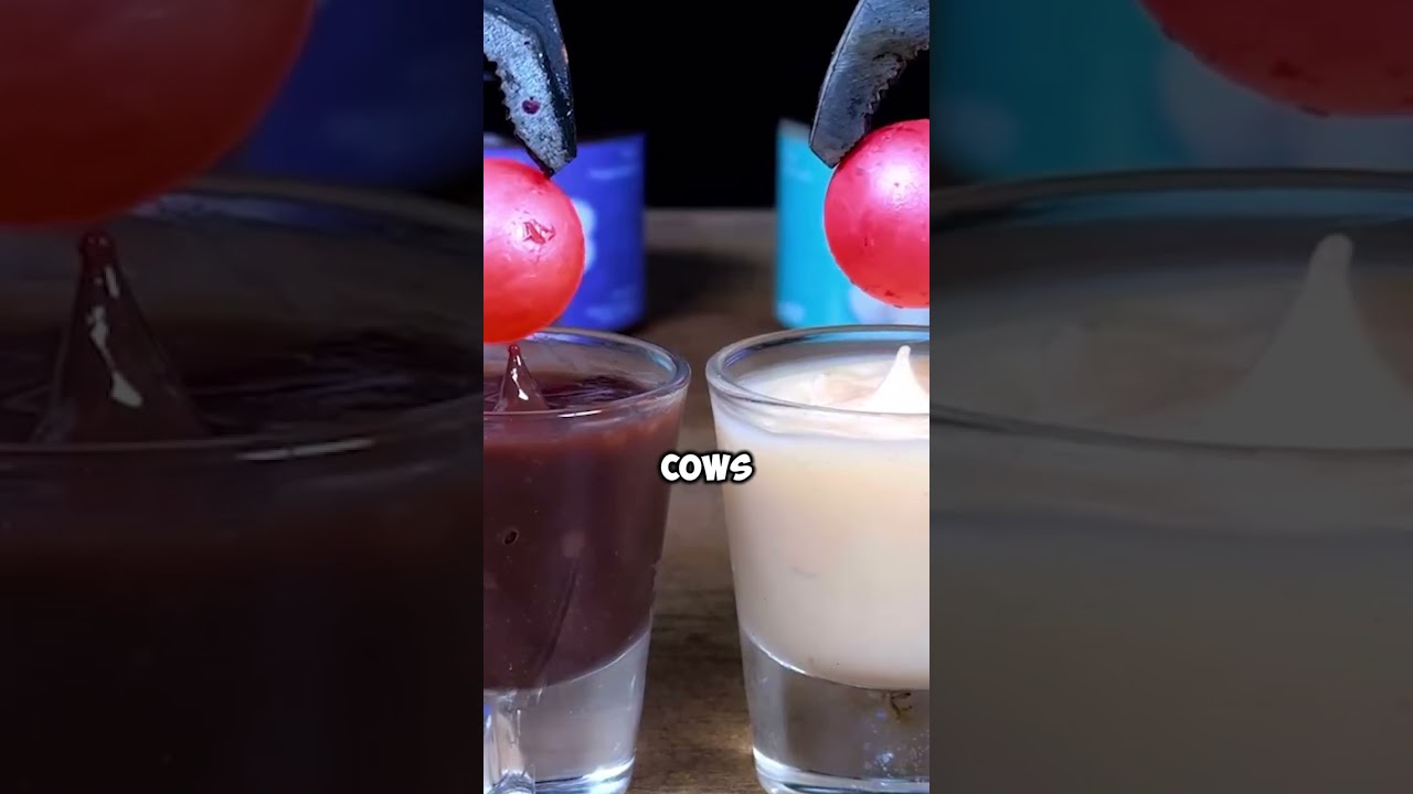 Random Facts you never knew || 