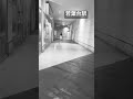 神奈川県川崎市麻生区黒川 若葉台駅 サニーデイ・サービス「One Day」