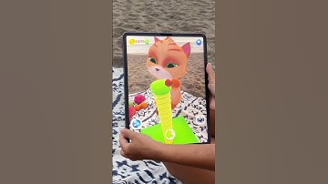 My Cat | My Virtual Pet Cat Goes on a Fruit-Filled Beach Picnic Adventure!