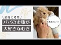 パパのお膝が大好きなむぎ