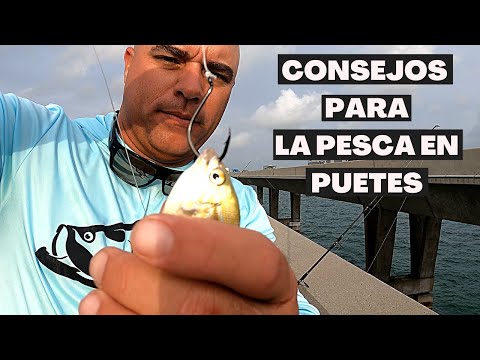 Video: Pesca en Cayo Hueso, Florida: la guía completa