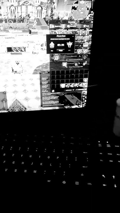 www.youtube.com
