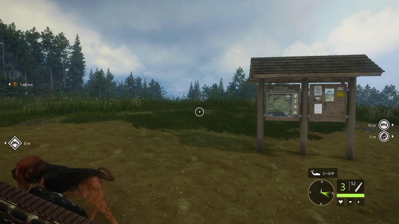 theHunter: Call of the Wildをプレイ