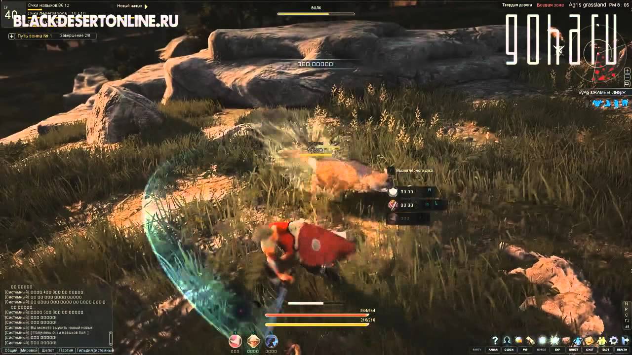 GoHa.Ru | Black Desert - Интервью с разработчиком